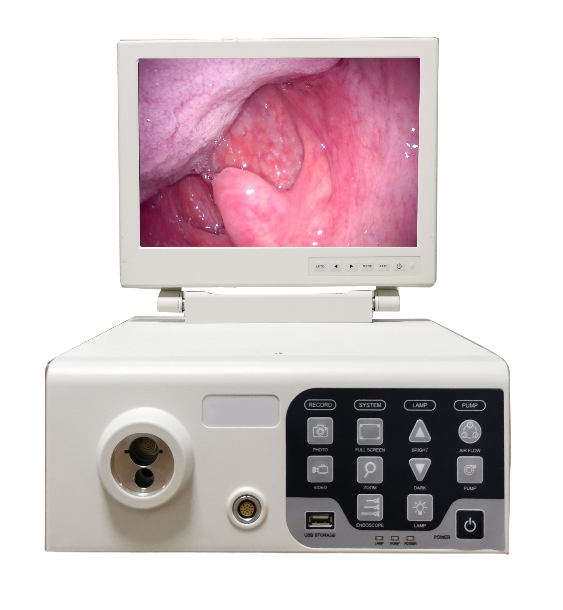 兽用图像处理器