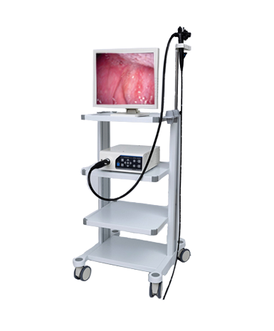 高清动物电子胃肠镜
