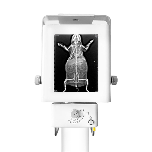 便携式一体机头